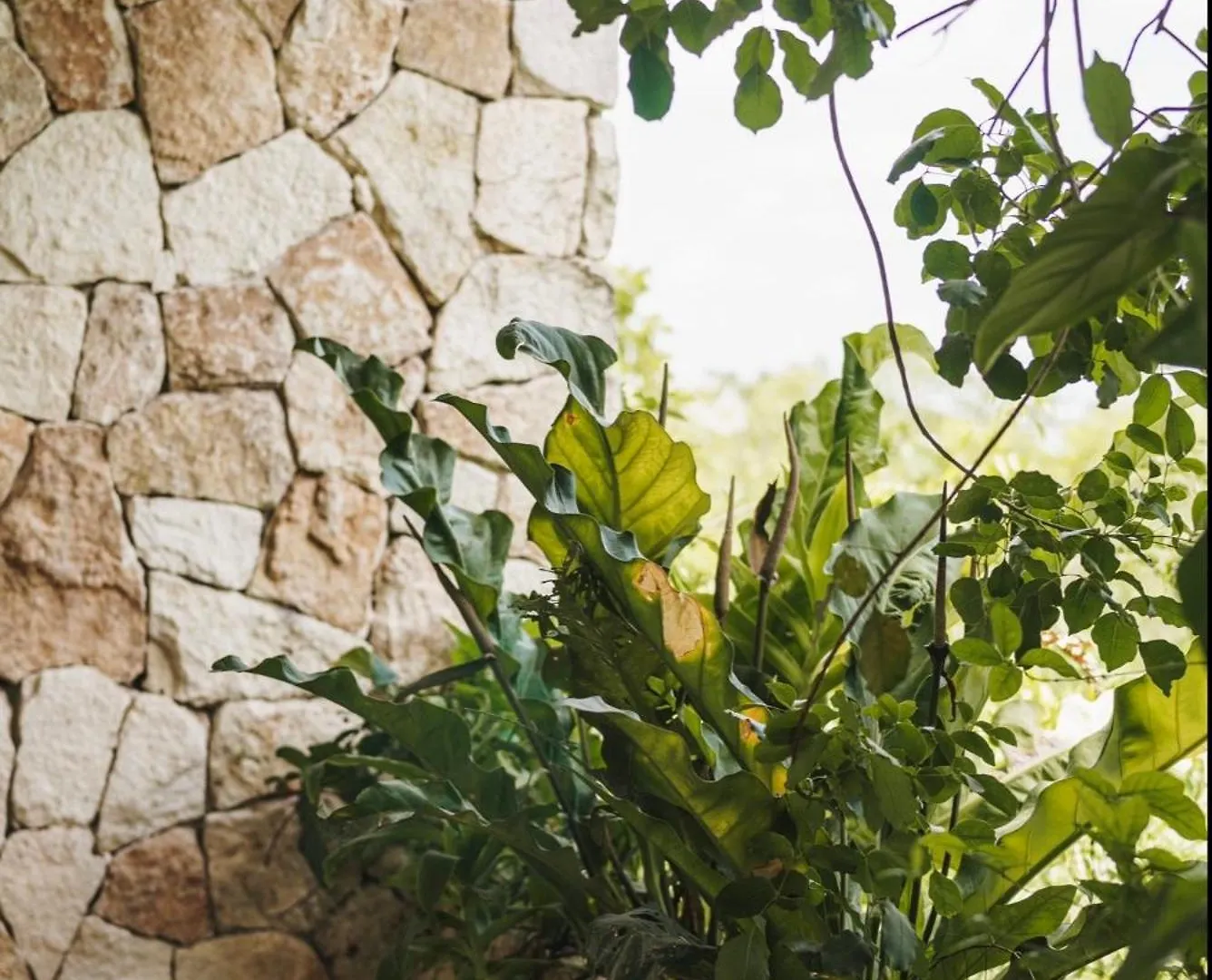 Appartamento Teva Tulum, Aldea Zama 0*, Tulum Messico